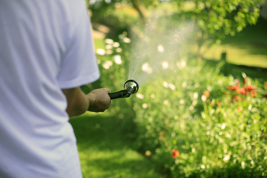 closeup of person using hand sprayer to water flowers in the garden